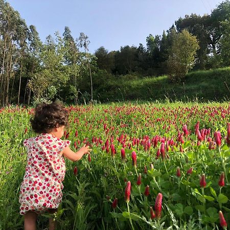 オビドス Quinta Da Casa Azulヴィラ エクステリア 写真