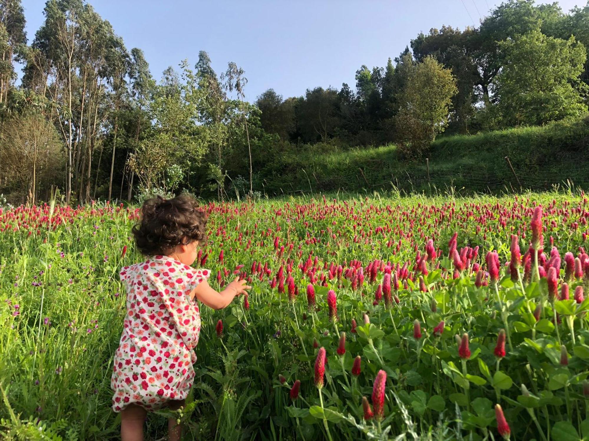 オビドス Quinta Da Casa Azulヴィラ エクステリア 写真