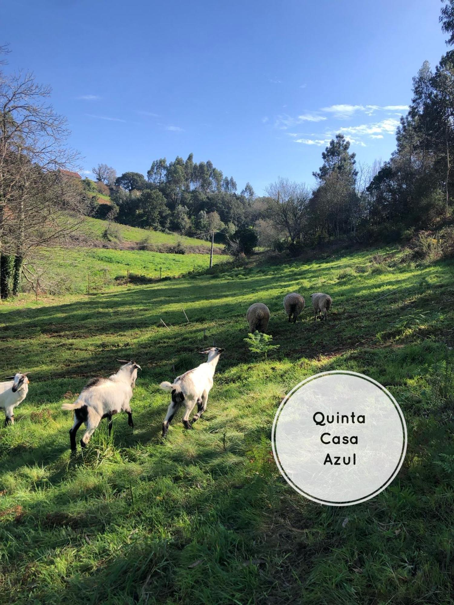 オビドス Quinta Da Casa Azulヴィラ エクステリア 写真